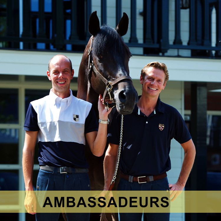 Ambassadeurs