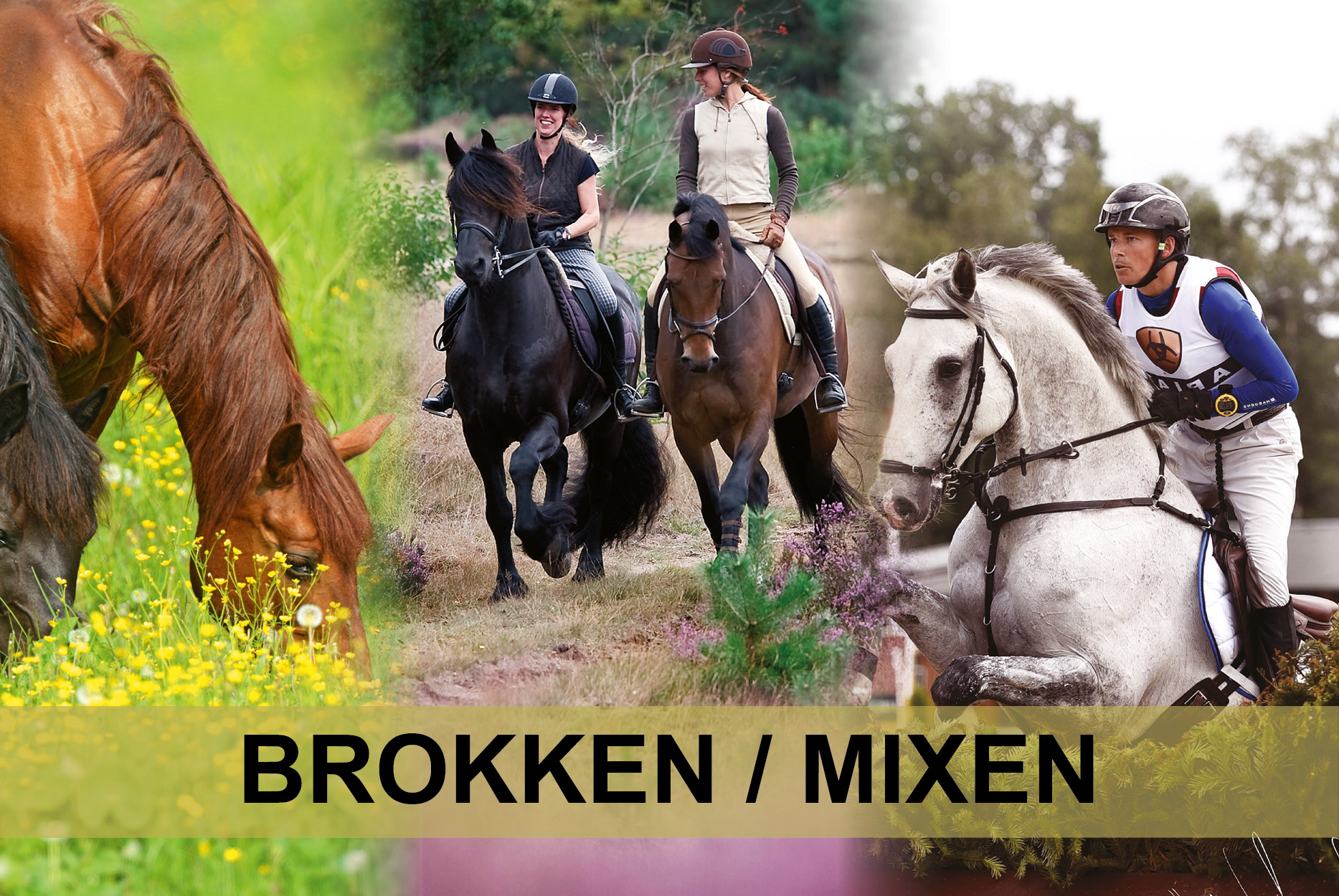 Brokken / Mixen