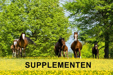 Supplementen