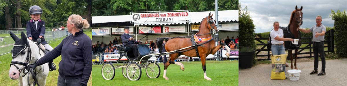 HEADER HENK HAMMERS V2