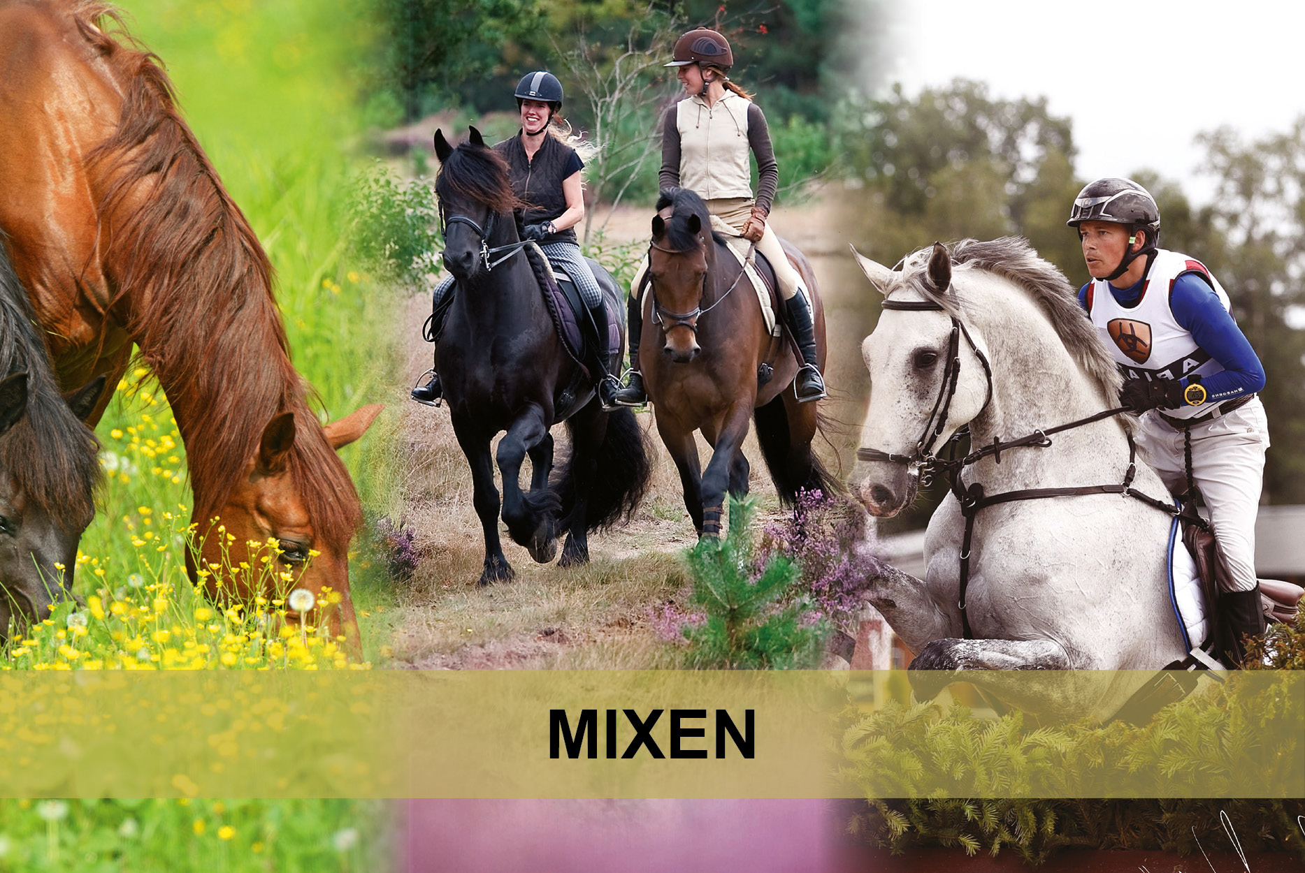 Mixen