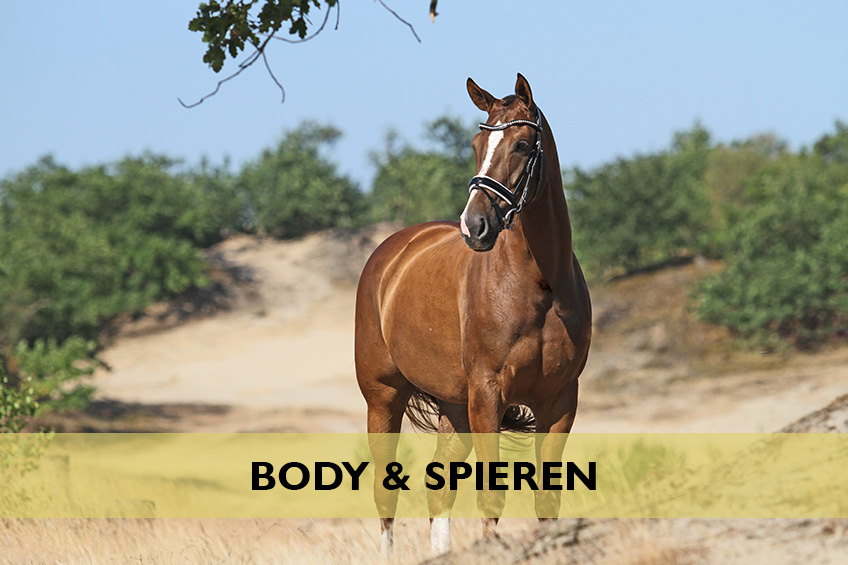 Body en Spieren