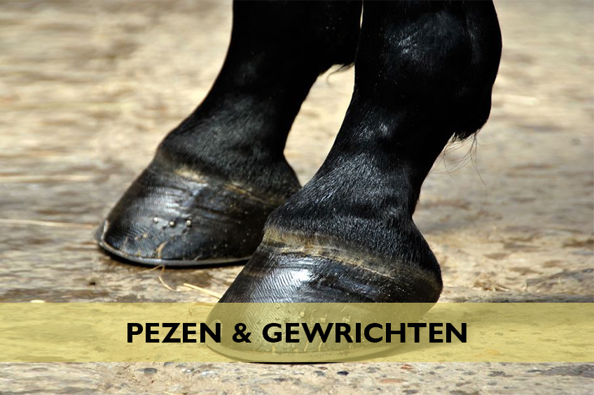Pezen en Gewrichten