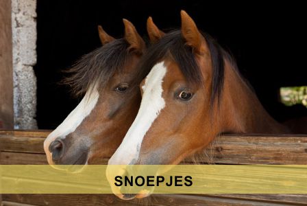 Snoepjes