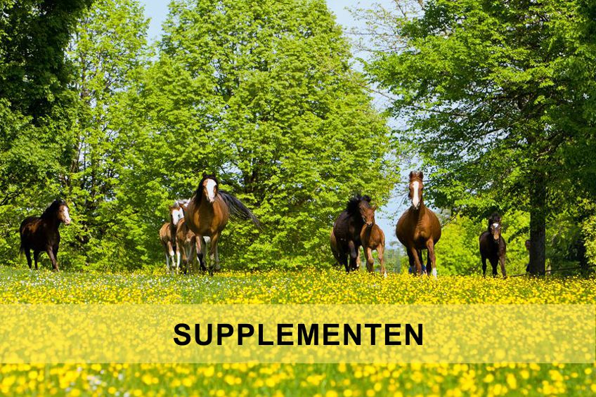 Supplementen