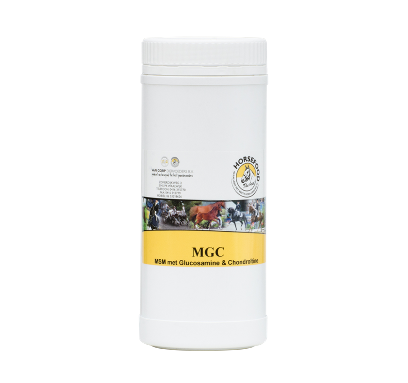 MSG_klein.png
