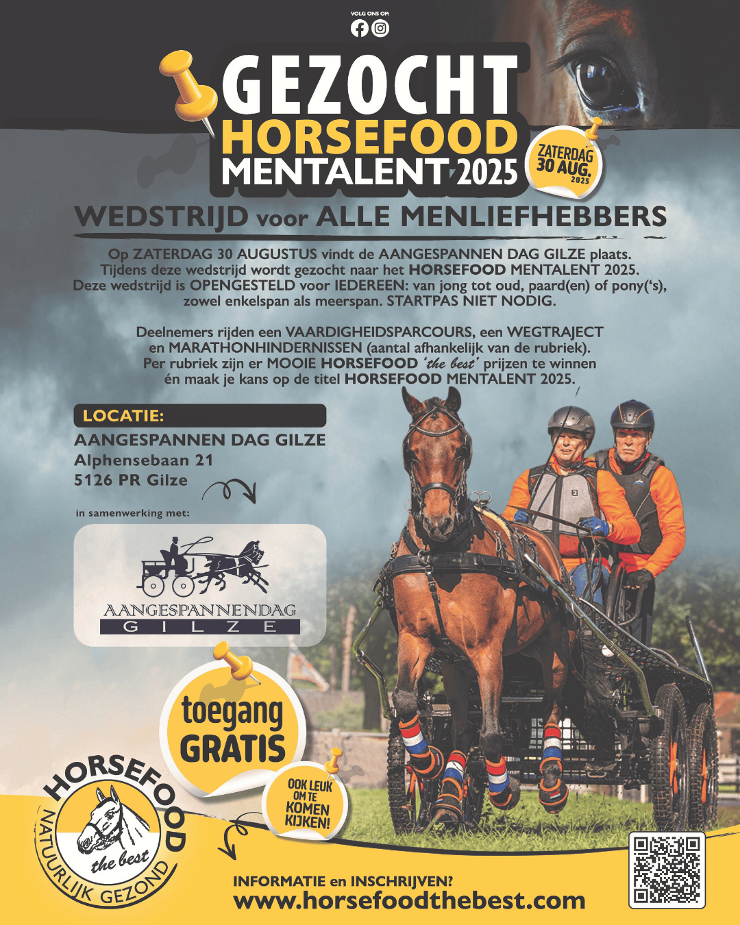 FLyer Mentalent verkleind DEF