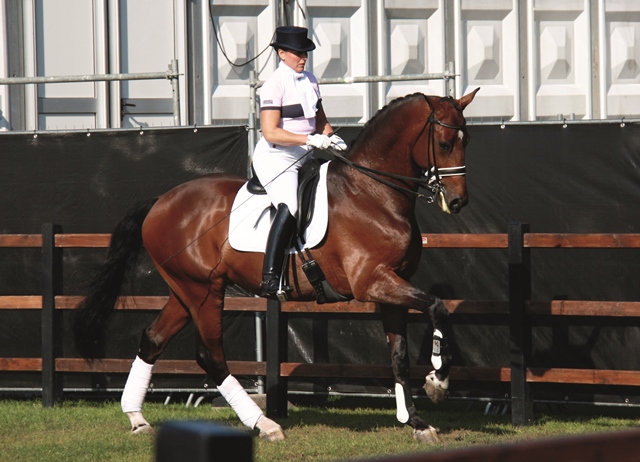 Horsefood the best -  dressuur topsport