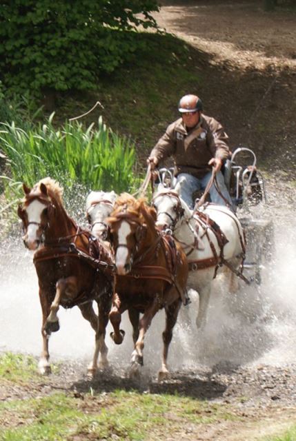 Horsefood the best - mennen marathon