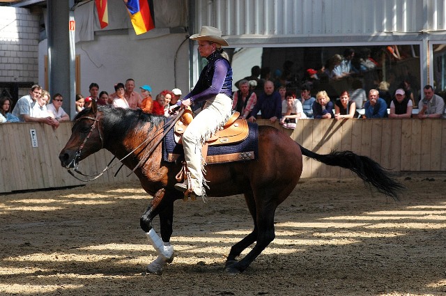 Horsfood the best -  western riding